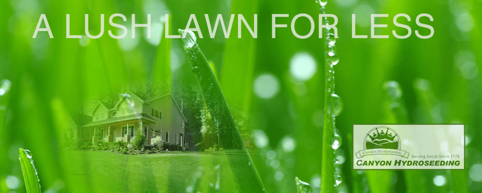RESIDENTIAL LAWN
