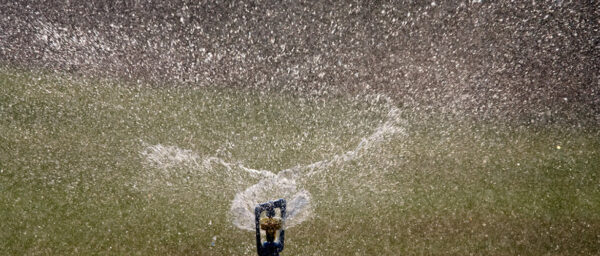 waterwisehydroseeding