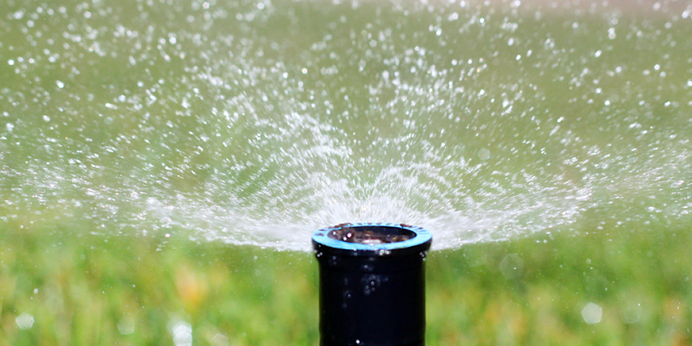 waterwisehydroseeding2