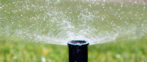 waterwisehydroseeding2