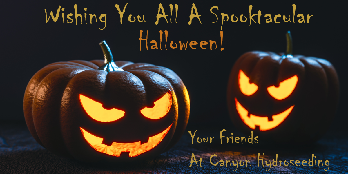 halloween greeting image