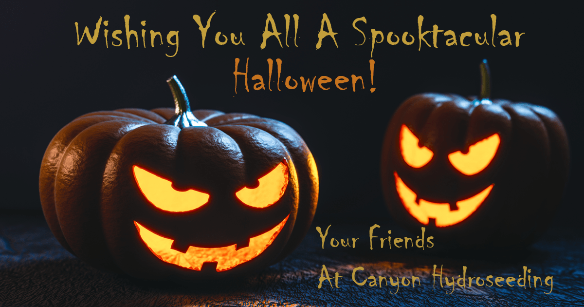 halloween greeting image