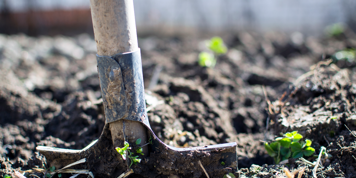image of mud after rains