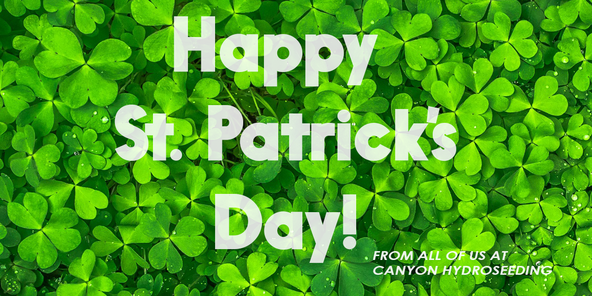 ST PATRICKS DAY IMAGE