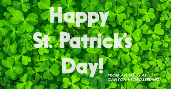 ST PATRICKS DAY IMAGE