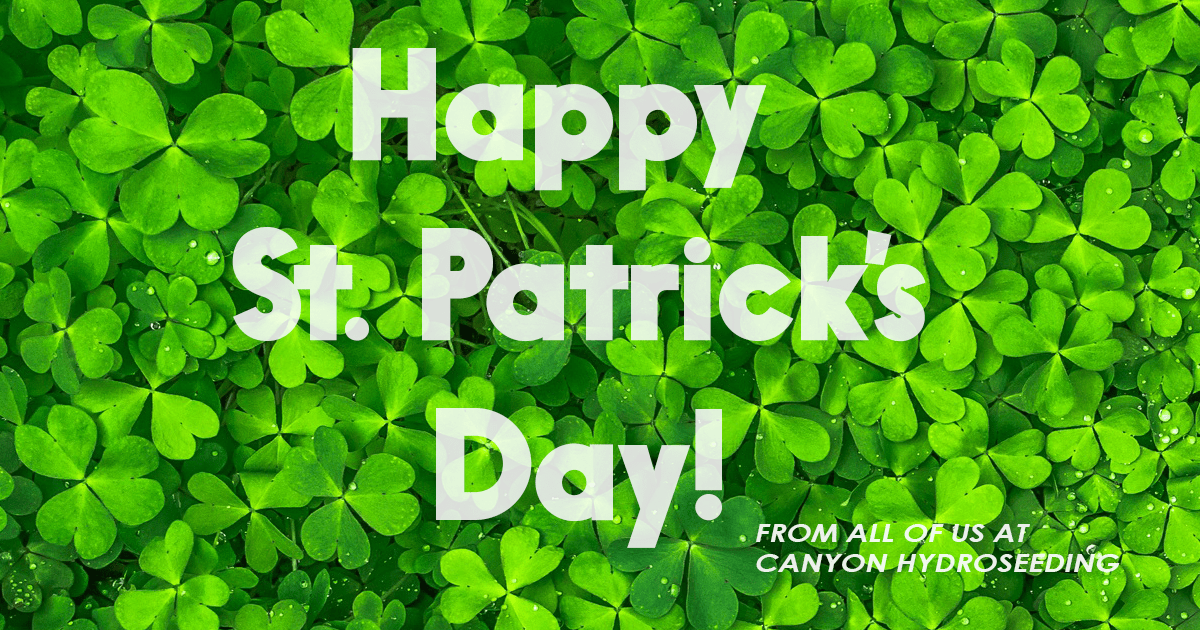 ST PATRICKS DAY IMAGE