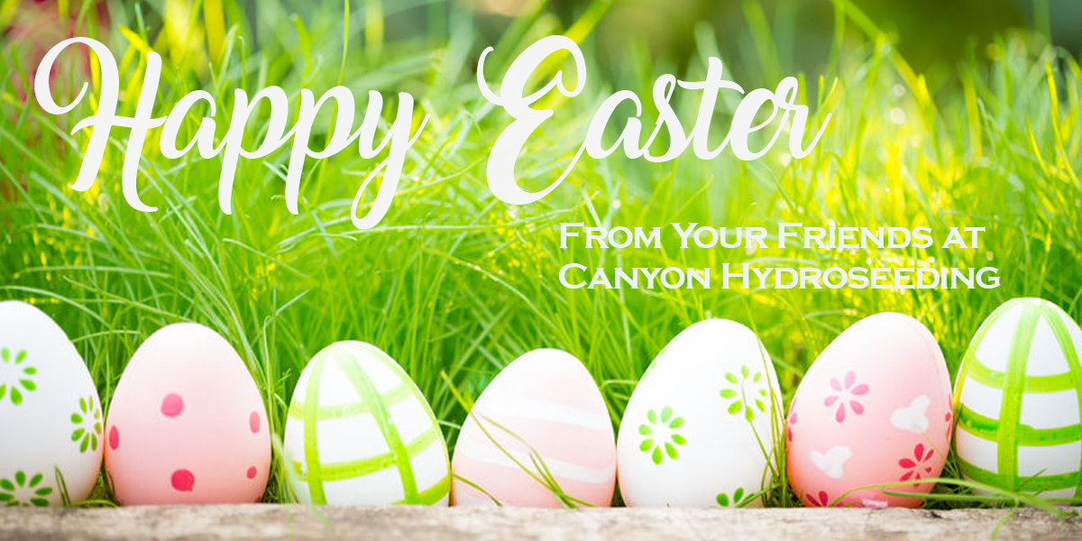 easter greeting image