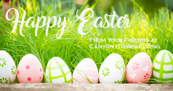 easter greeting image