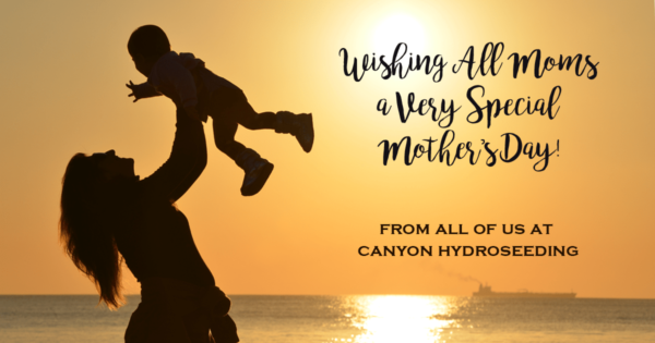 Mother's Day Greeting Image 2017