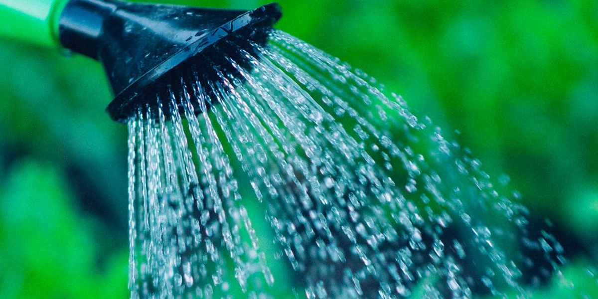 Watering Guidelines for Your California Lawn Southern Californa