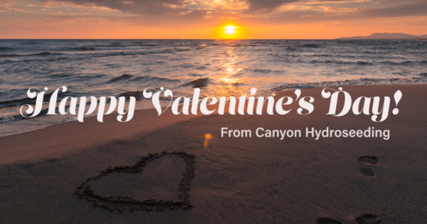 Valentine's Image 2018