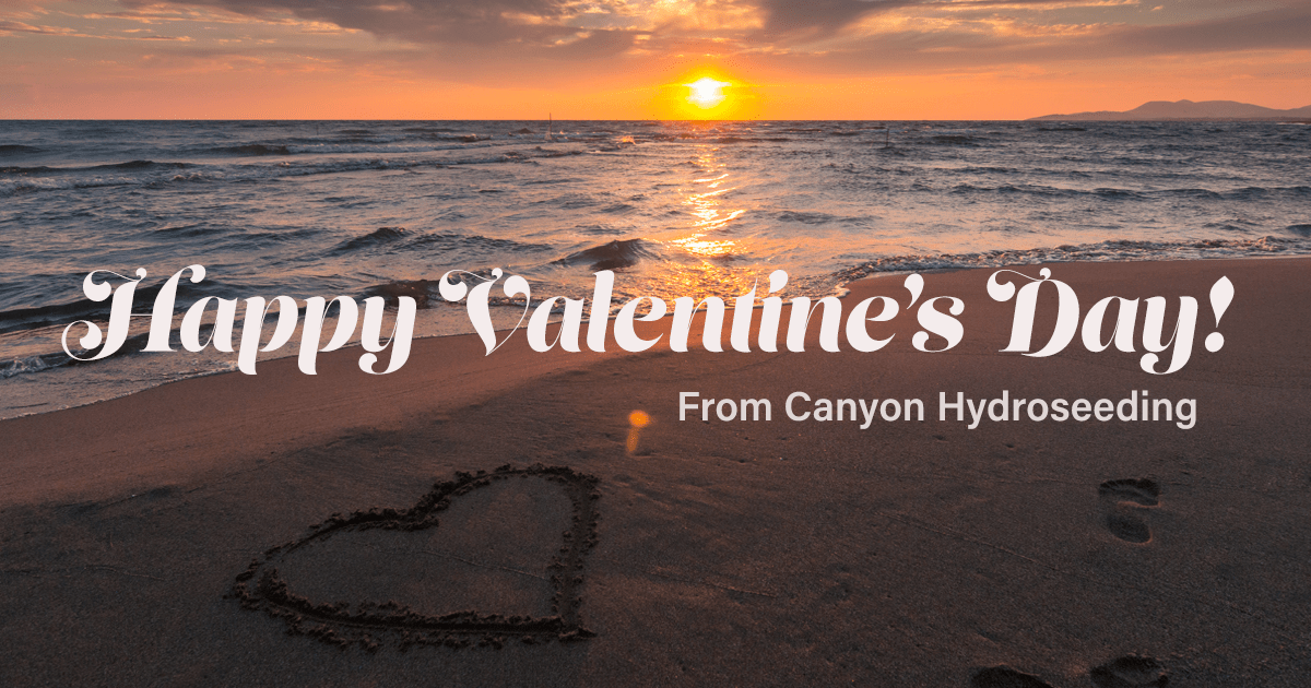 Valentine's Image 2018