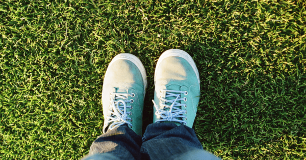 lawnimage new lawn image