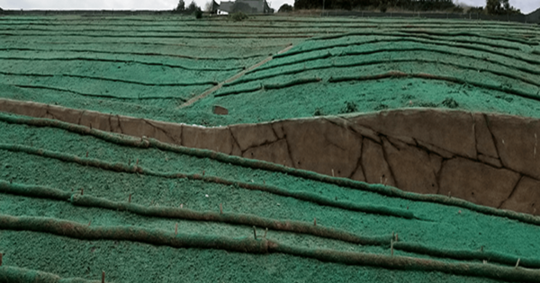 Hydromulch Image - Canyon Hydroseeding