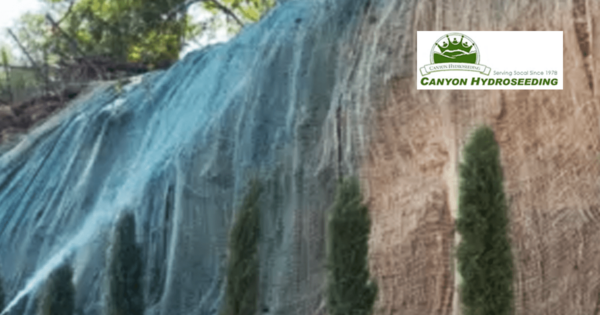 Hydroseeding Wild Flowers